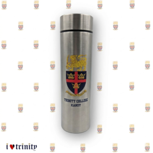 500ml Smart Thermal Bottle with Digital Temperature - Metallic Silver